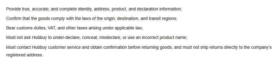 Five lines of body text listing obligations on information accuracy, legal compliance, taxes, declaration honesty and return handling.